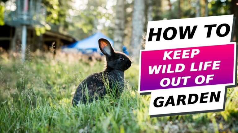 Top 5 Products to Keep Wildlife Out of Your Garden
