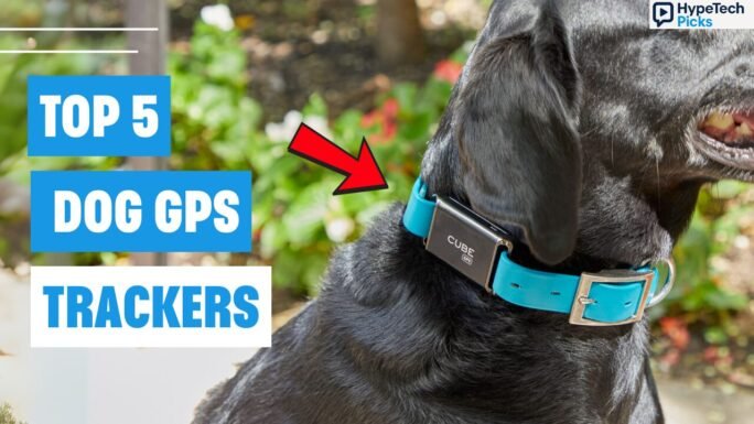 Best Dog Tracking Devices