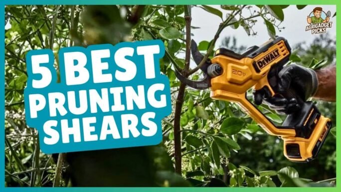 Best Pruning Shears for Trees
