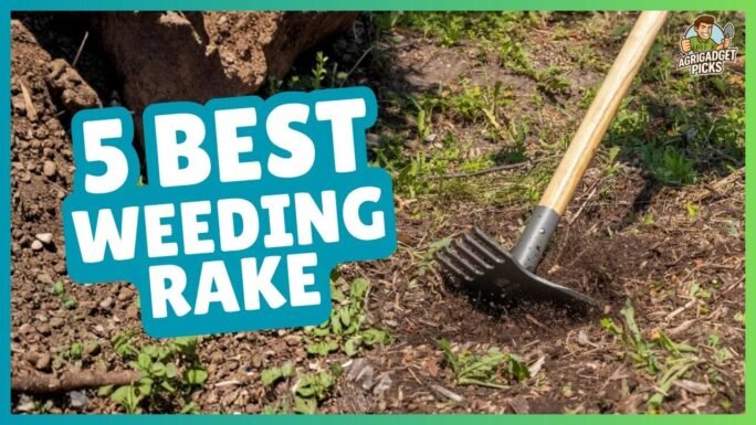 Best Weeding Rake